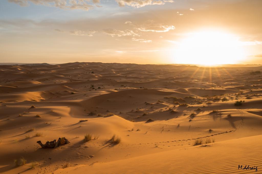 Desert Luxury Camp Morocco Merzouga Eksteriør billede